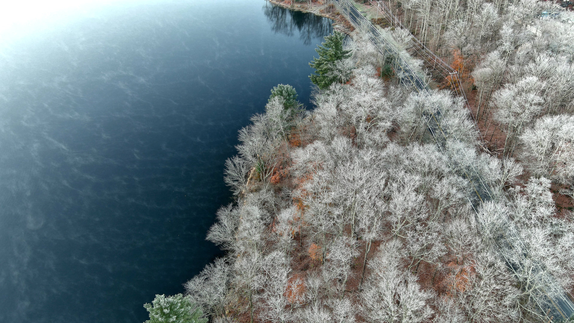 frost-on-trees-early-morning-110621-1.jpg